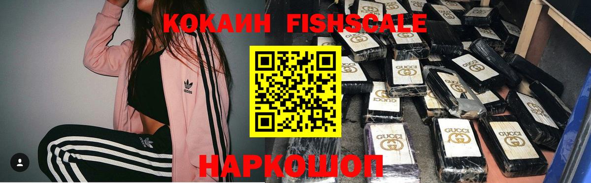 купить закладку  Барнаул  КОКАИН 98%  COCAIN Fish Scale 