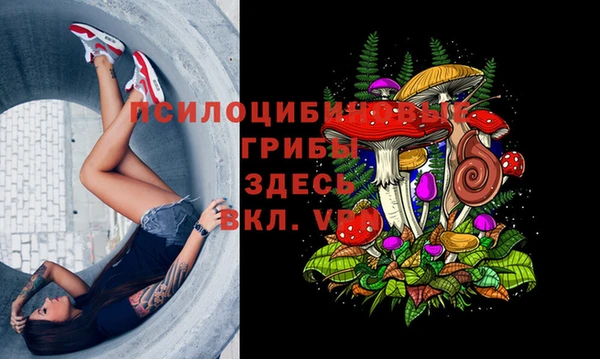 ALPHA PVP Кинешма