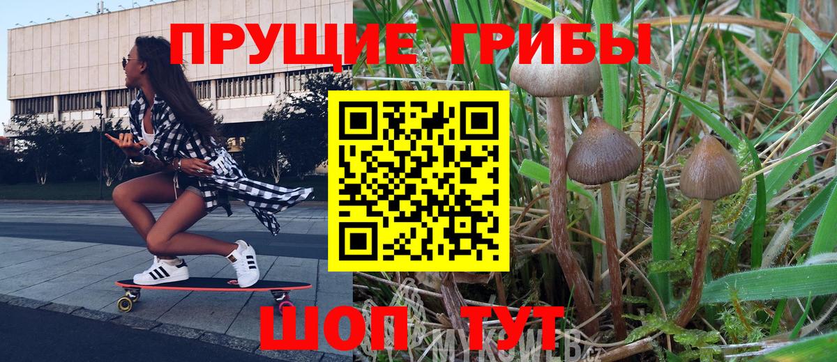 Псилоцибиновые грибы прущие грибы Барнаул