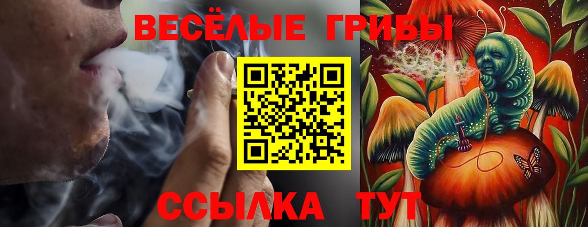 Галлюциногенные грибы ЛСД Барнаул